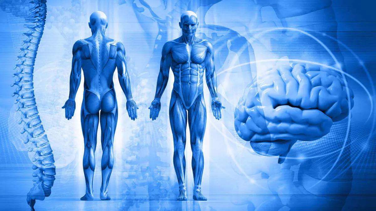 Medical Terminology (Online eLearning)