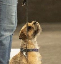 Novice/Advanced Rally: Saturday 10:30