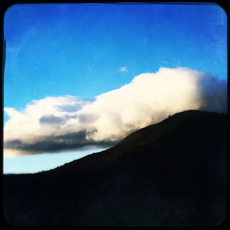 Writing with the Earth — Kinship, Embodiment, Belonging - Warburton