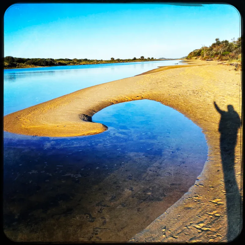 Diving Even Deeper into Co-becoming: Intensive Online 11 Week Course