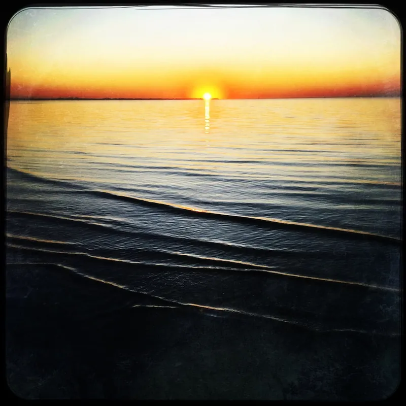 Co-becoming Plunge: Intensive Online 11 Week Course