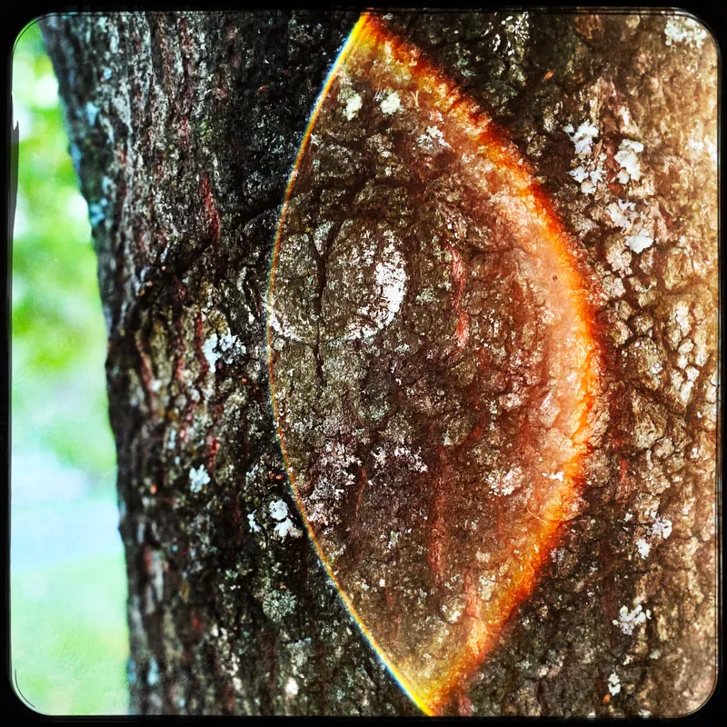 Deepening the Practice - Co-becoming zoom community
