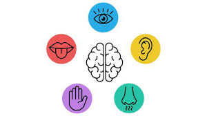 Sensory