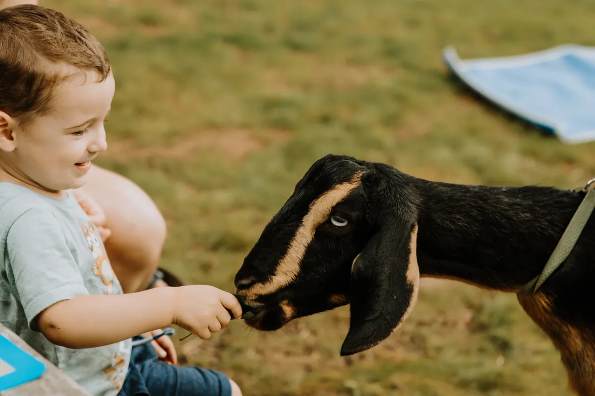 Farm Open Play Day - Private Event