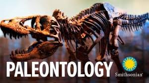 Mon 11:00 - 12:00 -- 489MC Introduction to Paleontology