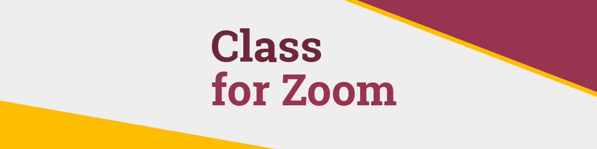 Class for Zoom Training for Faculty