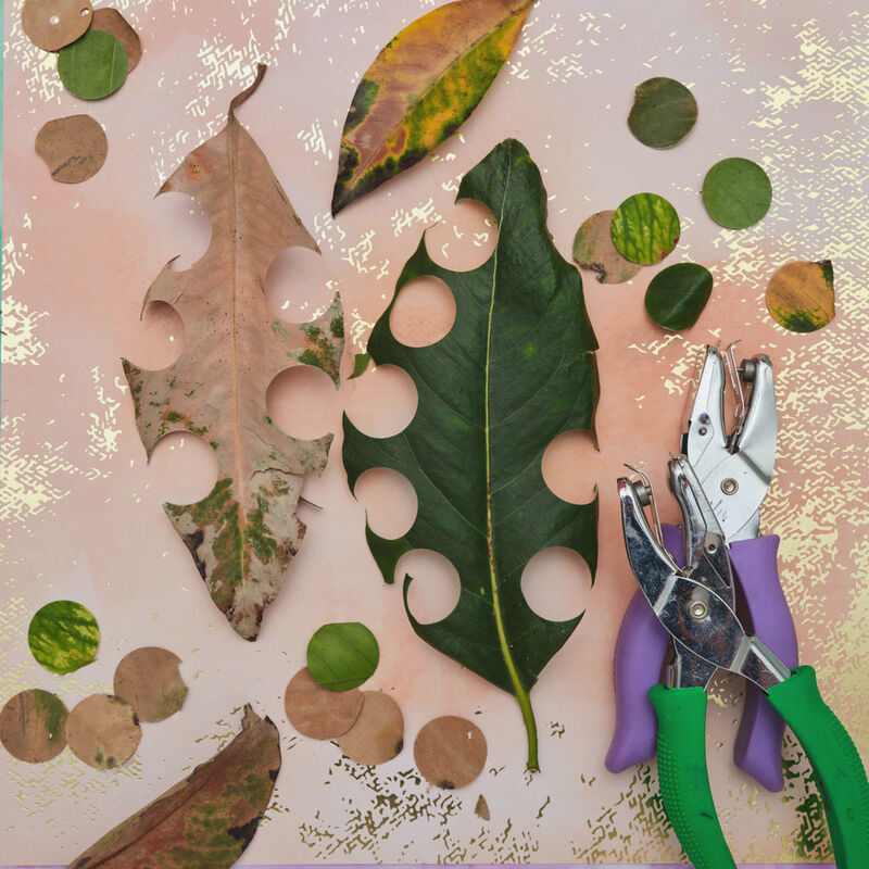 Homeschool Makers (Science)  - Wednesdays, 9am-1pm  FALL 2 2025