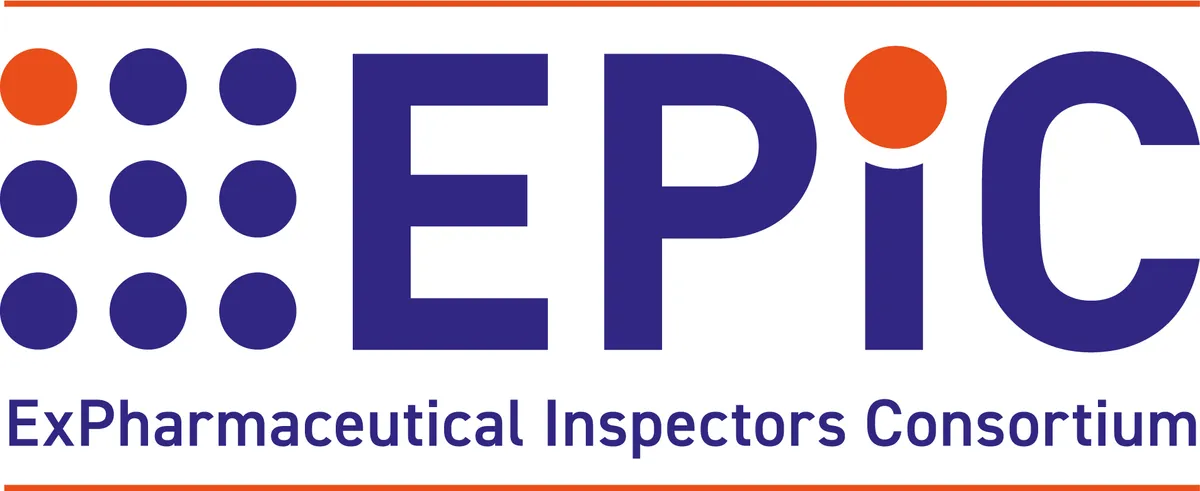 EPiC Auditors - 2 Hour Paid Consultation Meeting