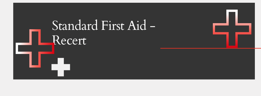 Standard First Aid Recert