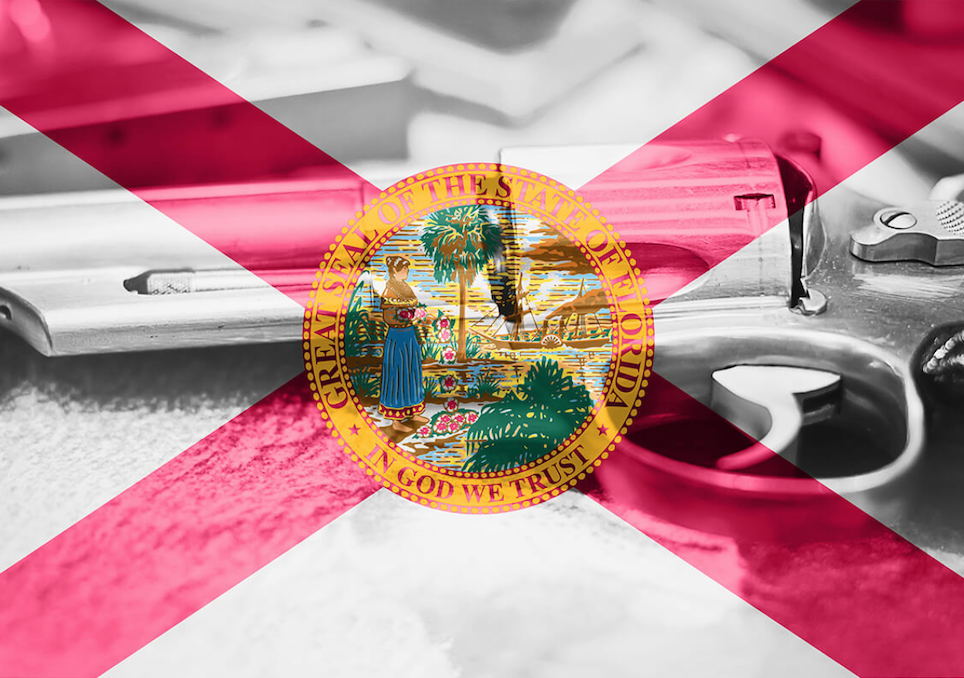 3HR State of Florida Concealed Firearms License Course