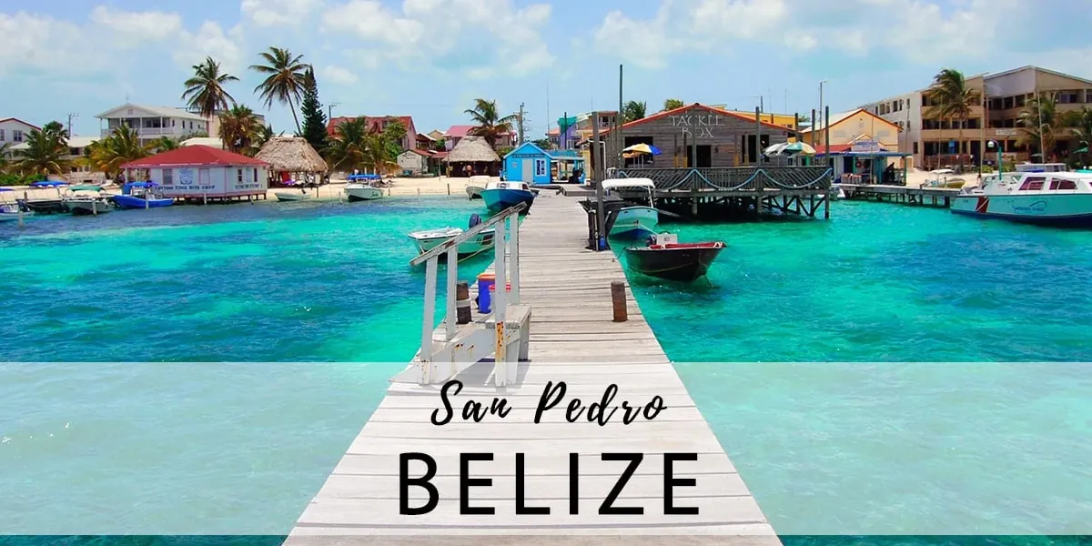 2026 Dive Talk Meetup