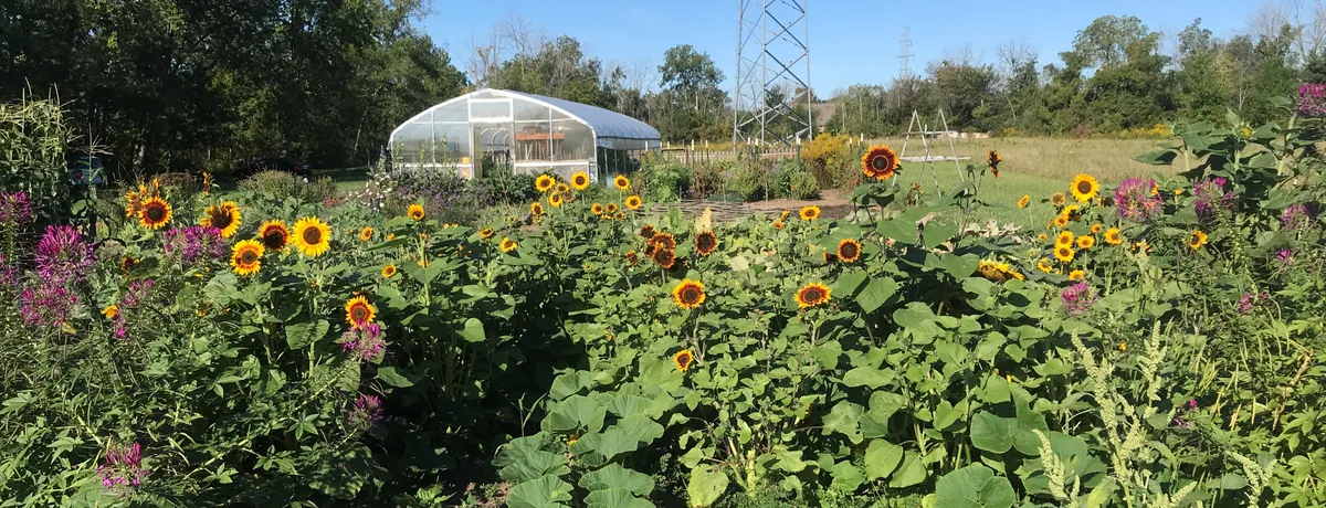 Farm to Table Dinner