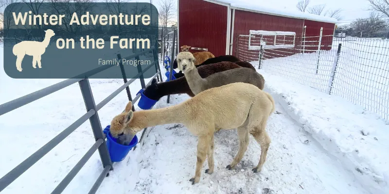 Winter Adventure on the Farm - Family Program