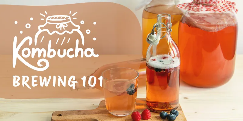 Kombucha Brewing 101