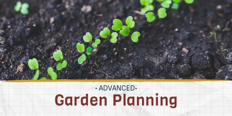 Advanced Garden Planning (2 session program)
