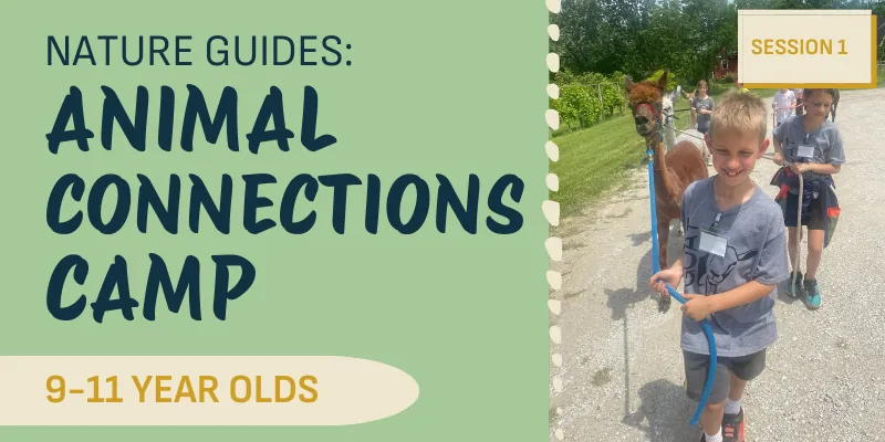 Nature Guides: Animal Connections Camp (Session 1)