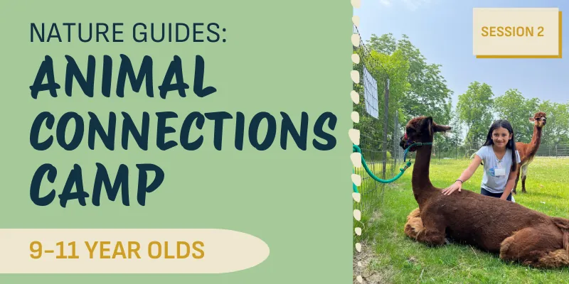 Nature Guides: Animal Connections Camp (Session 2)