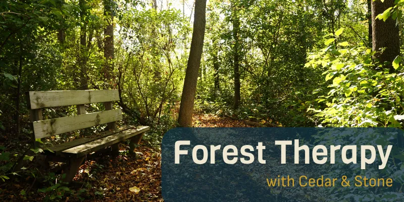 Forest Therapy with Cedar & Stone