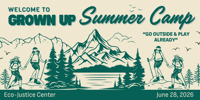 Grown Up Summer Camp