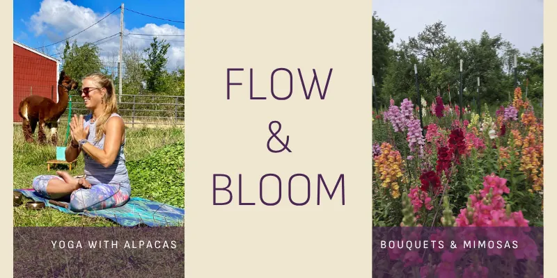 Flow & Bloom