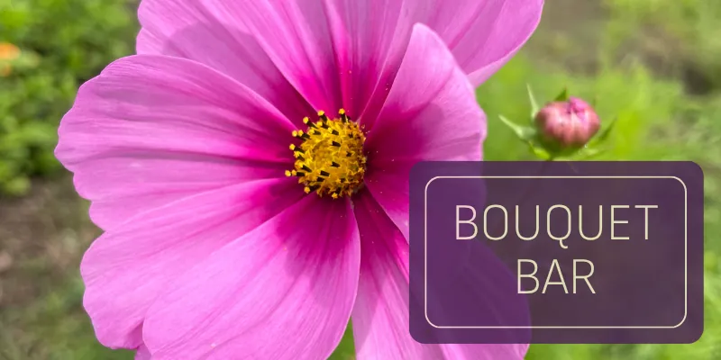 Bouquet Bar