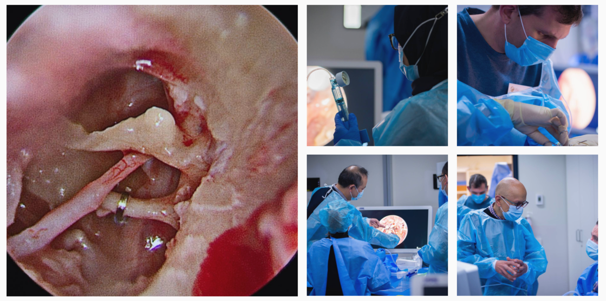 SEES Research Group 12th Course