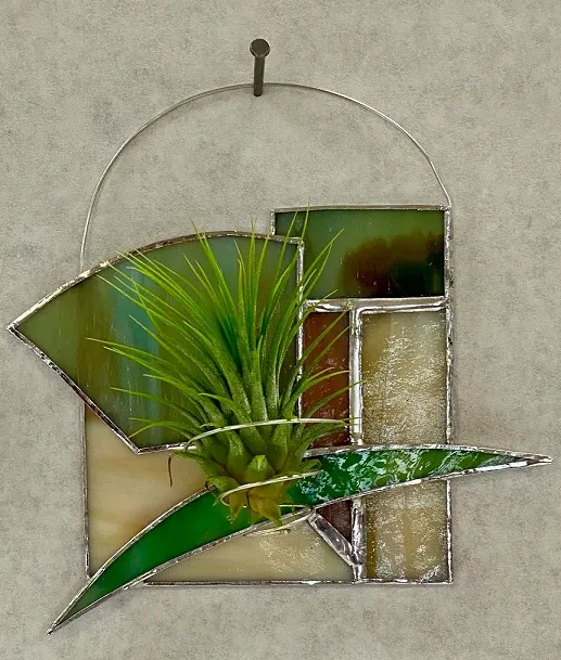 Air Plant Happy Homes