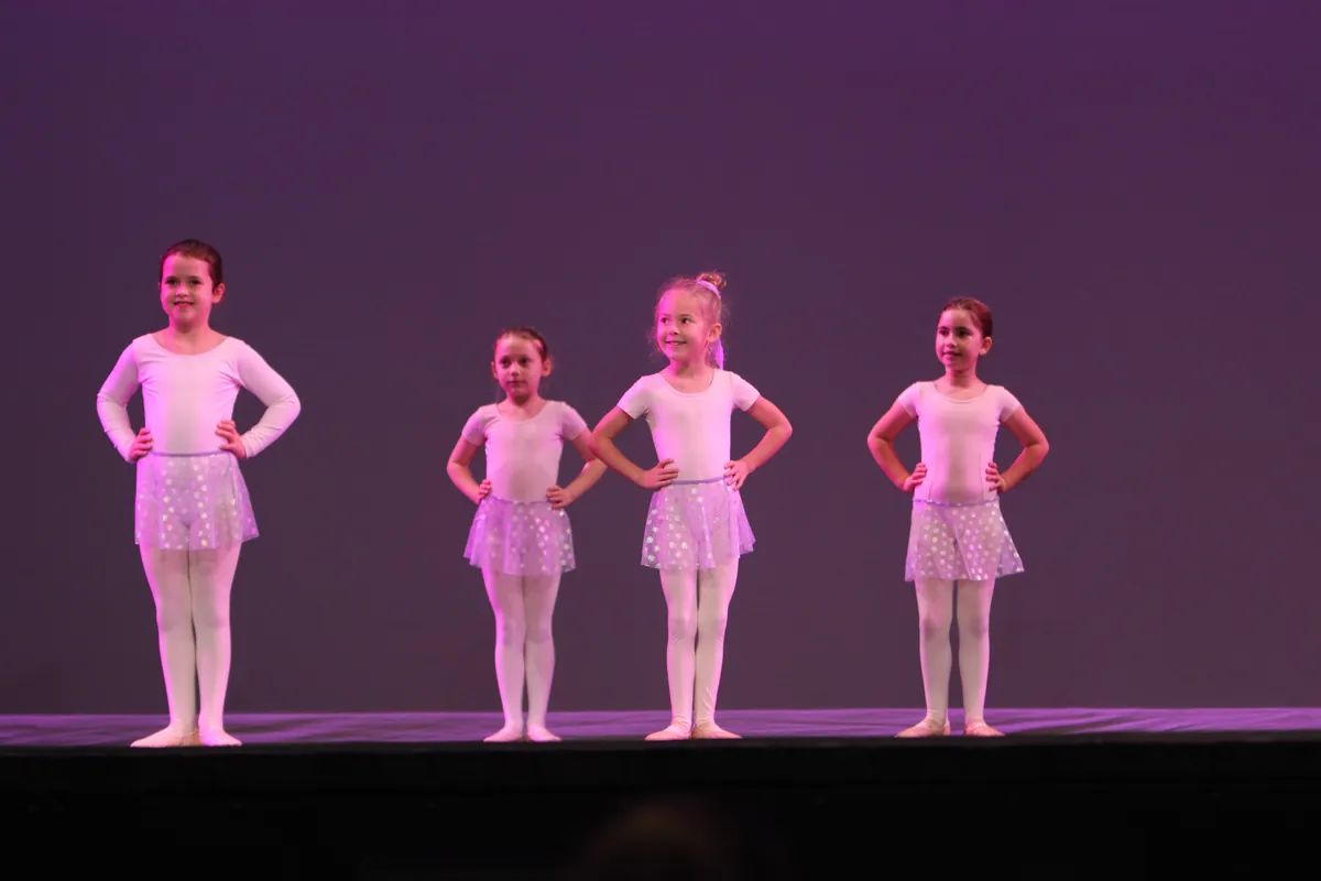 WED 400 Hamlin private group Ballet/Hip Hop Beginning (K)