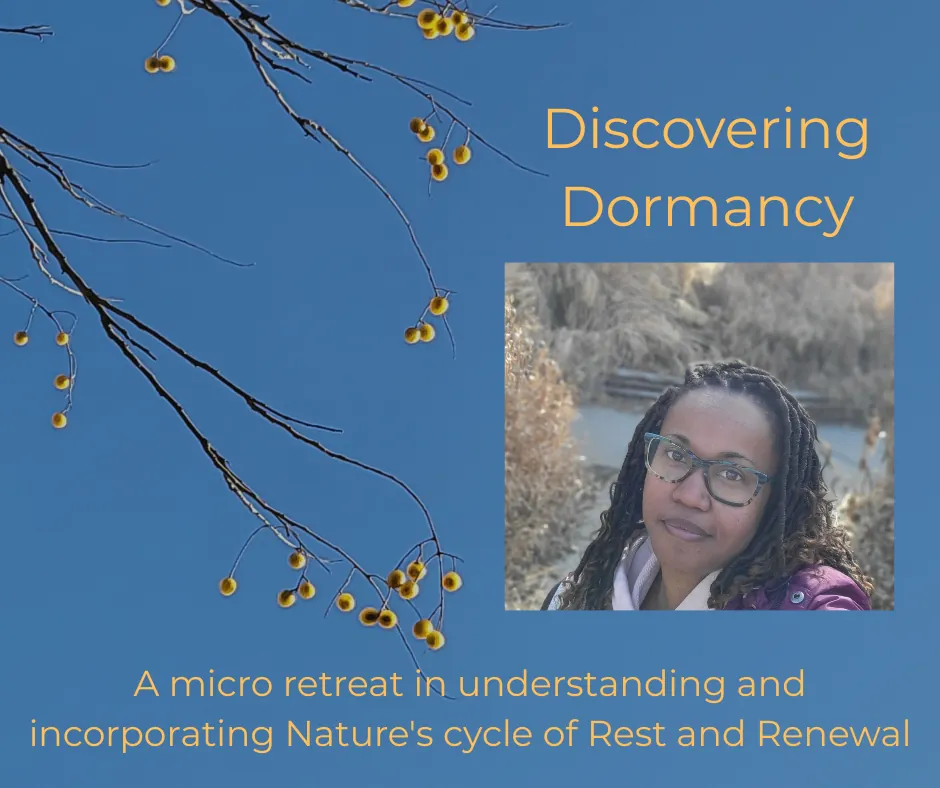 Discovering Dormancy: A micro retreat in understanding and incorporating Nature's cycle of Rest and Renewal