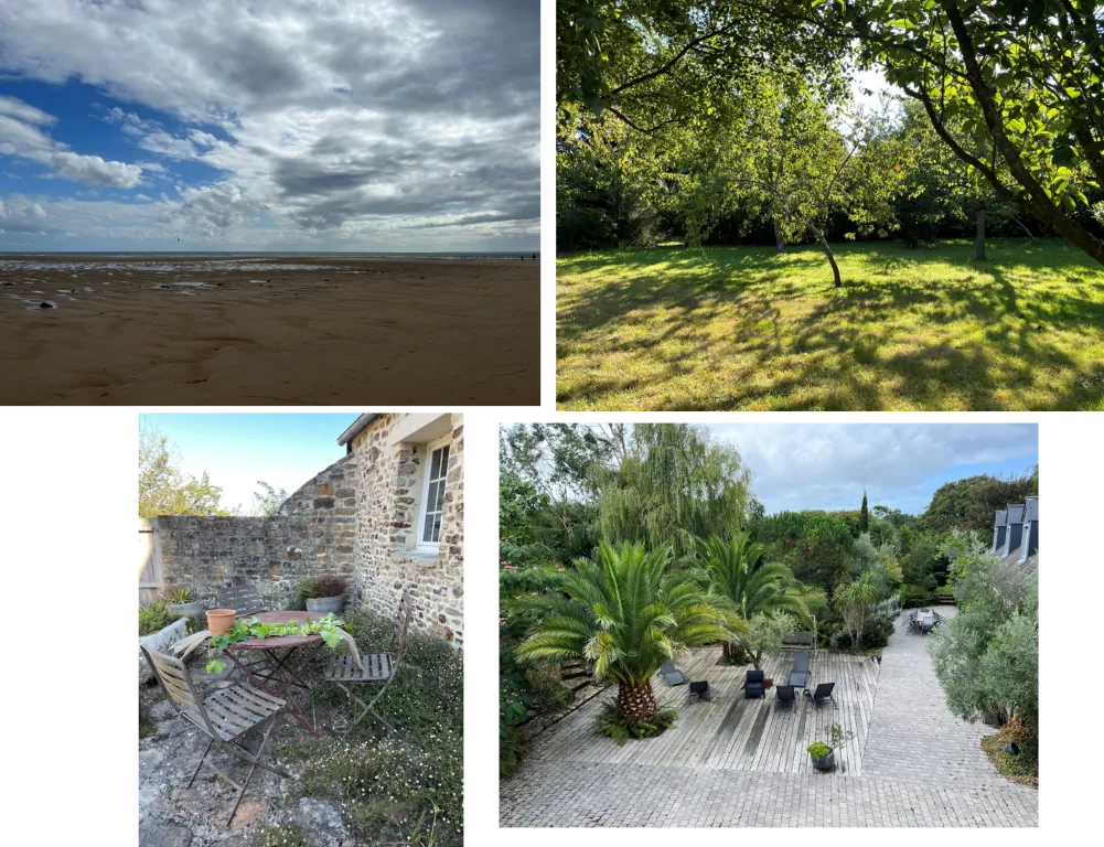 Masterclass Codev et Elements naturels - Septembre 2026