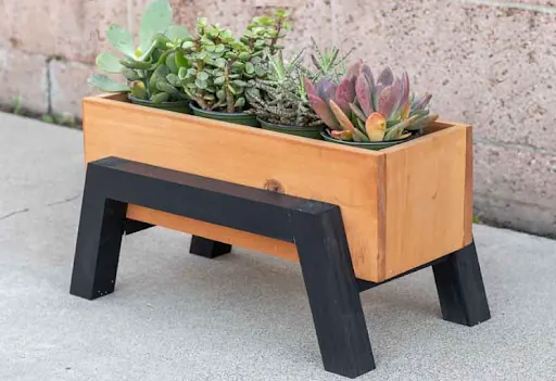 Woodworking Basics: Succulent Planter