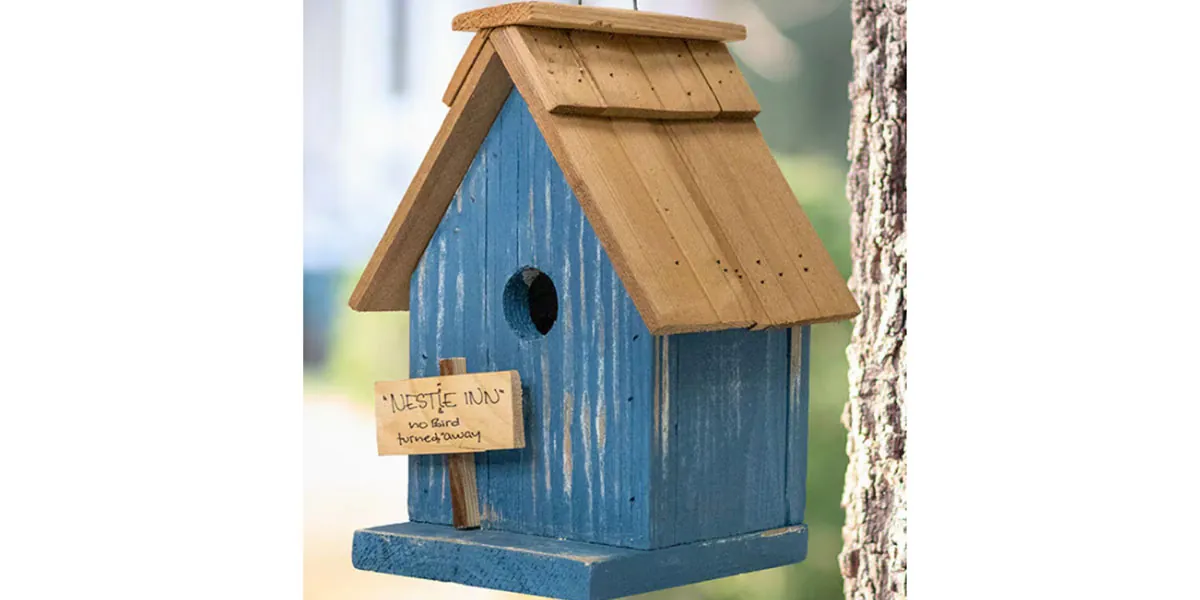 Parent & Child: Wooden Birdhouse