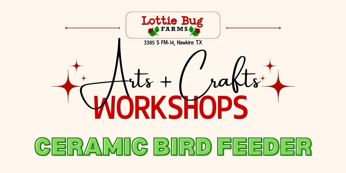 Arts + Crafts: Sunflower Bird Feeder