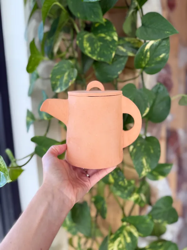 Handbuild a Teapot, 2 classes of Instruction