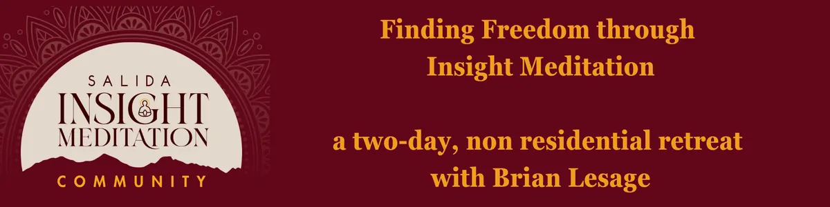 Finding Freedom Through Insight Meditation
