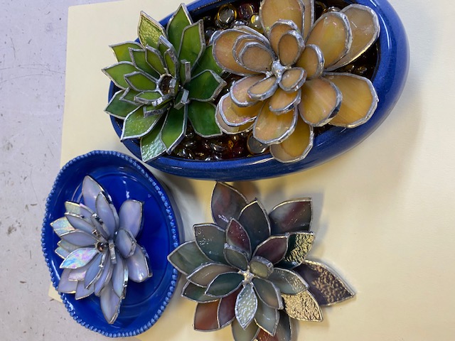 3-D SUCCULENTS