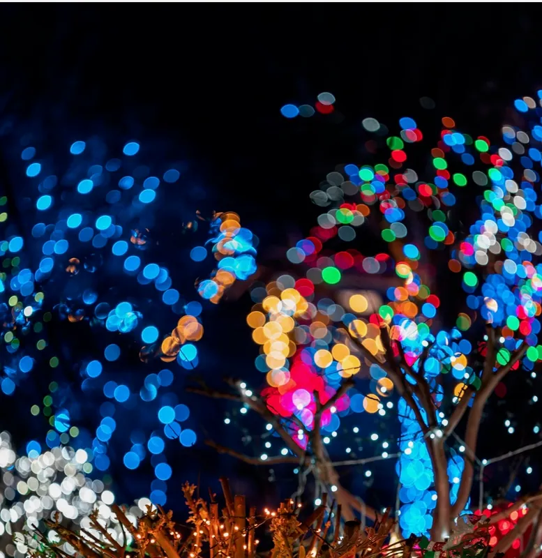 HEALING YOUR ISSUES — GROUP SERIES – DECEMBER