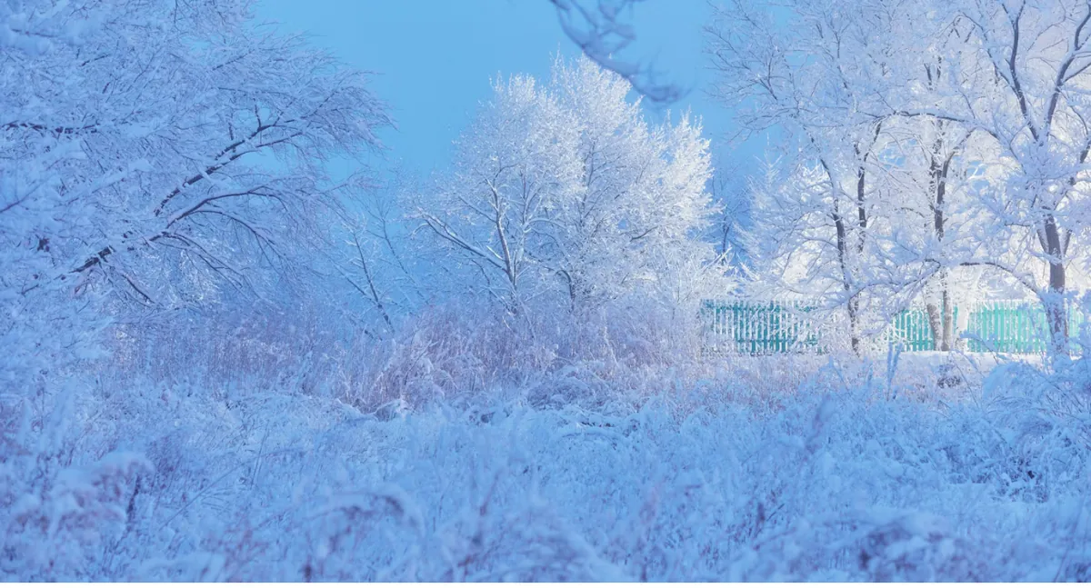 POST CORE VEIL with ANGELIC PRESENCE — DEEPENING YOUR AWAKENING — DECEMBER