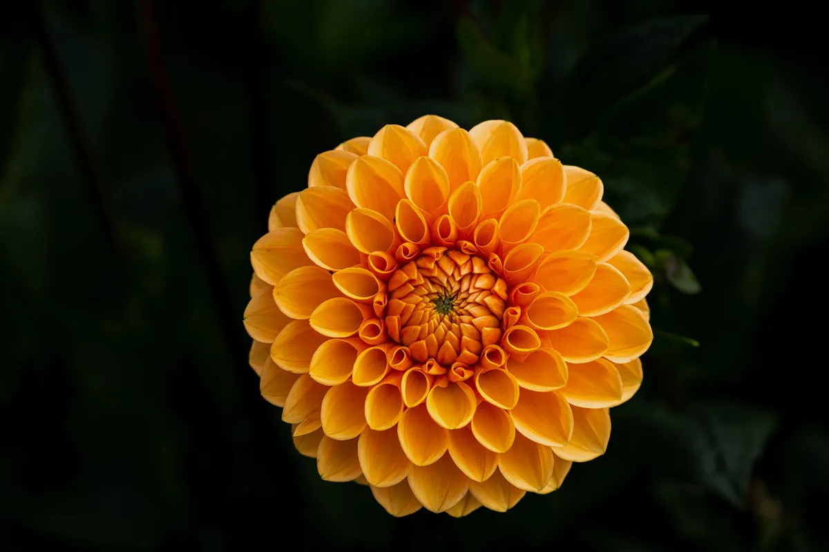 HEALING YOUR ISSUES — SEPTEMBER SESSIONS —  Issues Groups focus on clearing conditioning that is creating blocks to your healing and awakening.
