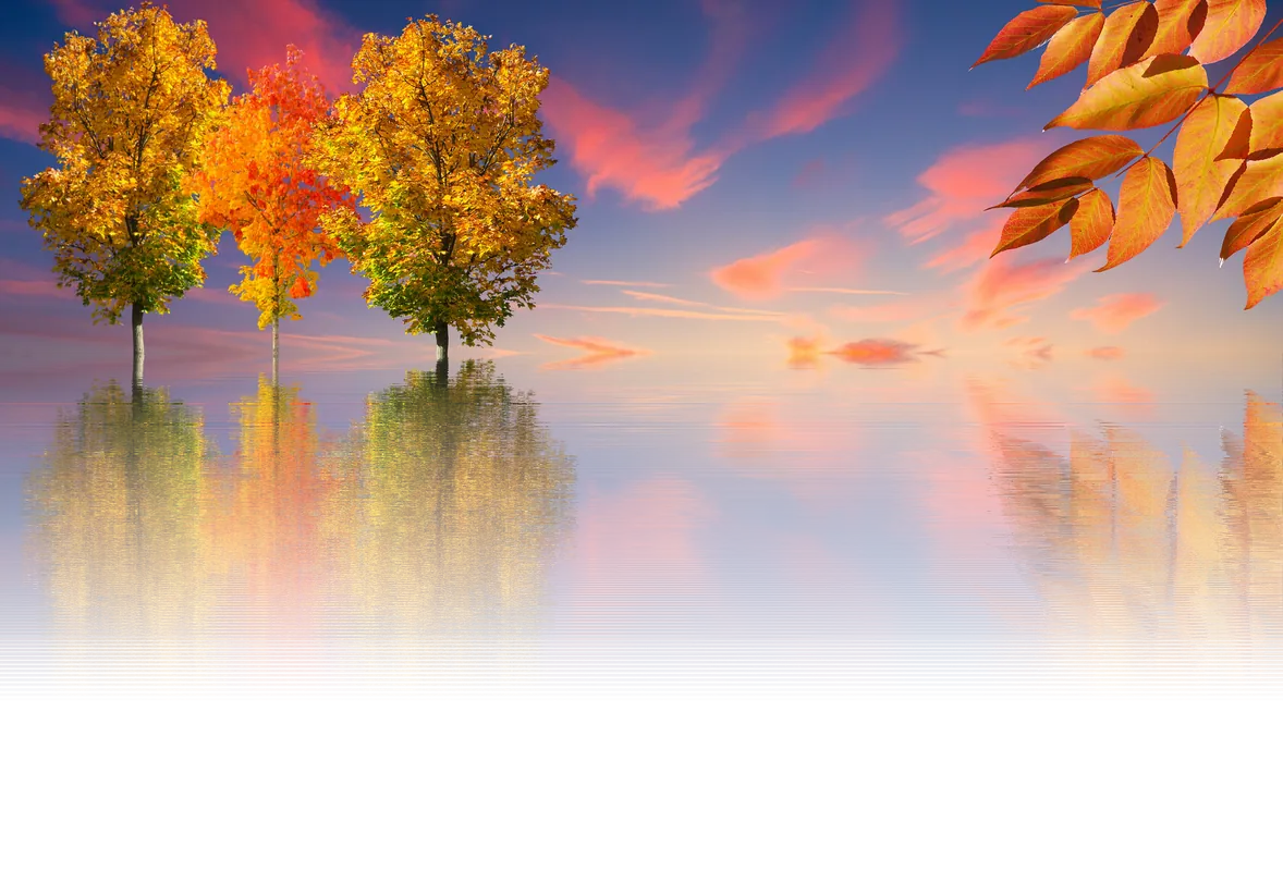 POST CORE VEIL with ANGELIC PRESENCE — DEEPENING IN AWAKENING — October