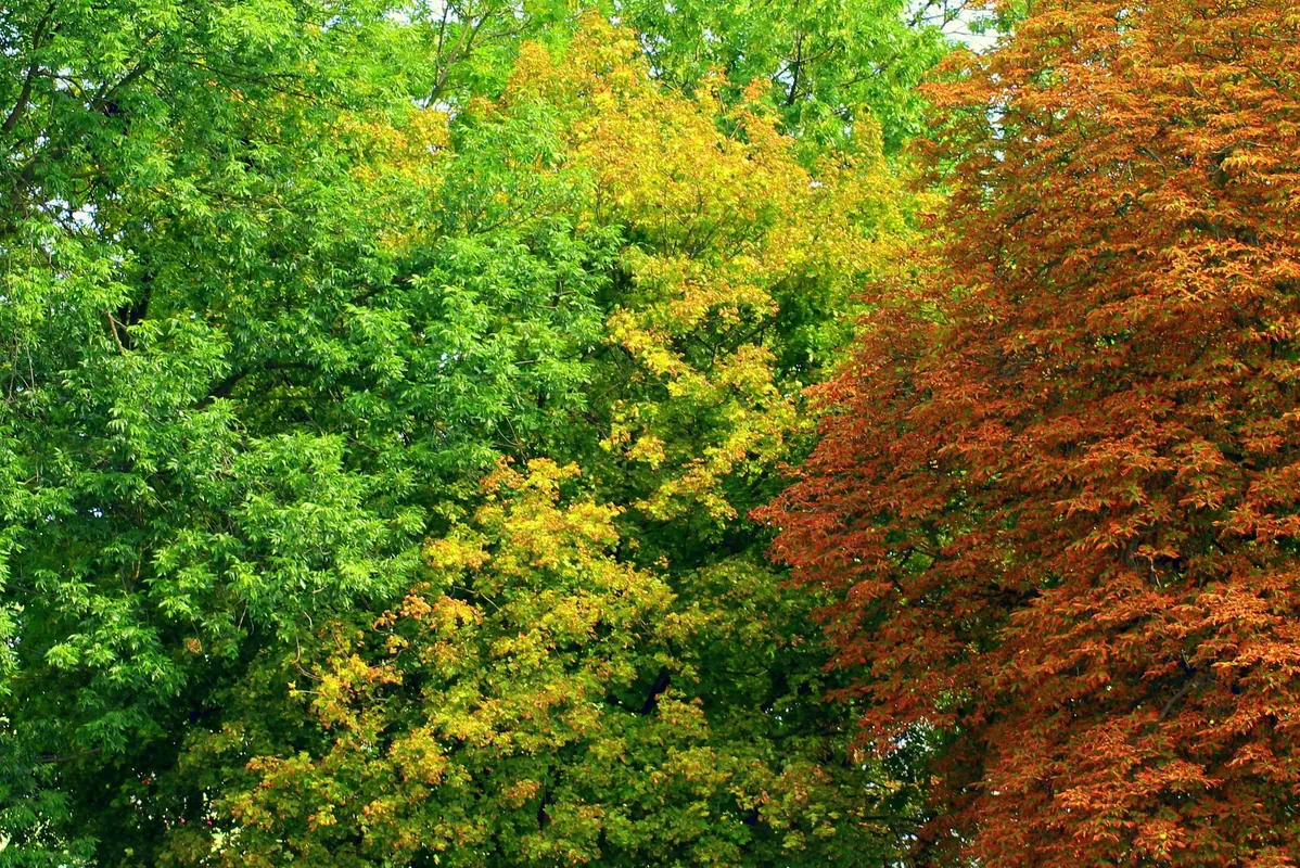 ANGELIC  MEDITATION AND HEALING — OCTOBER — The more mysterious something is, the more  we take for granted that we understand it.