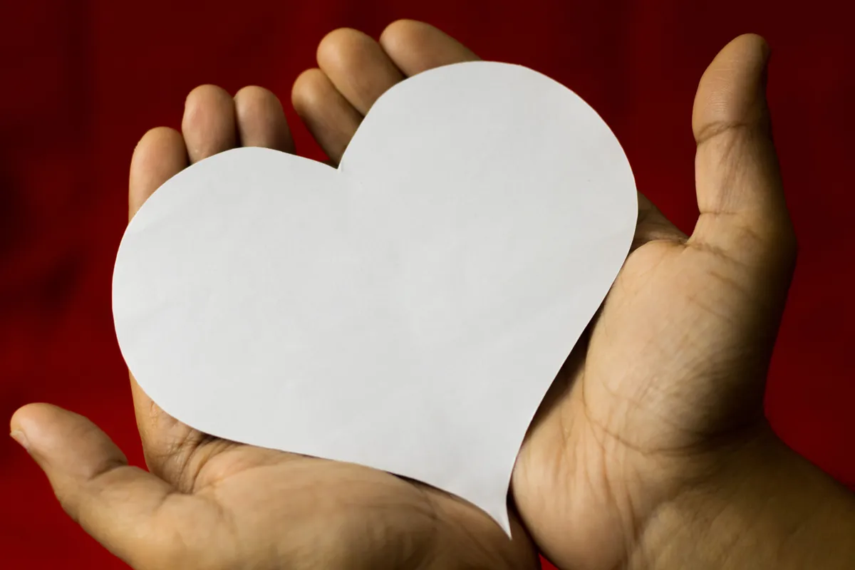 Culture of Kindness