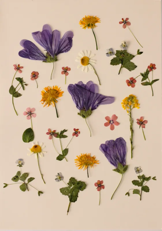 Petals & Prints