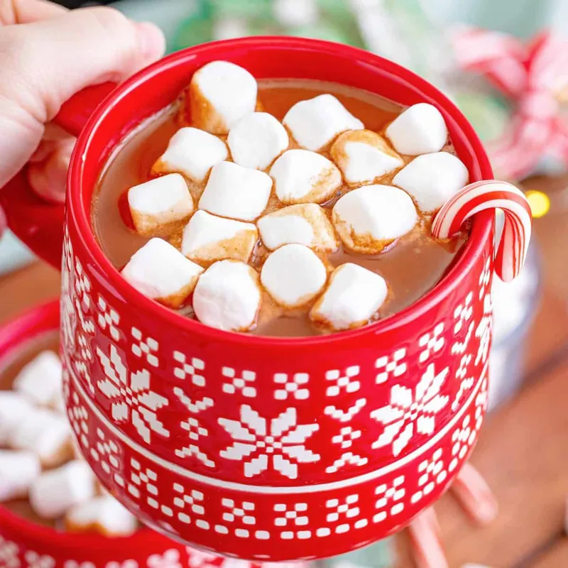 Hot Chocolate Workshop and a Movie