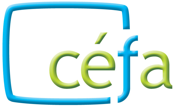 FLS-3 - 11 semaines