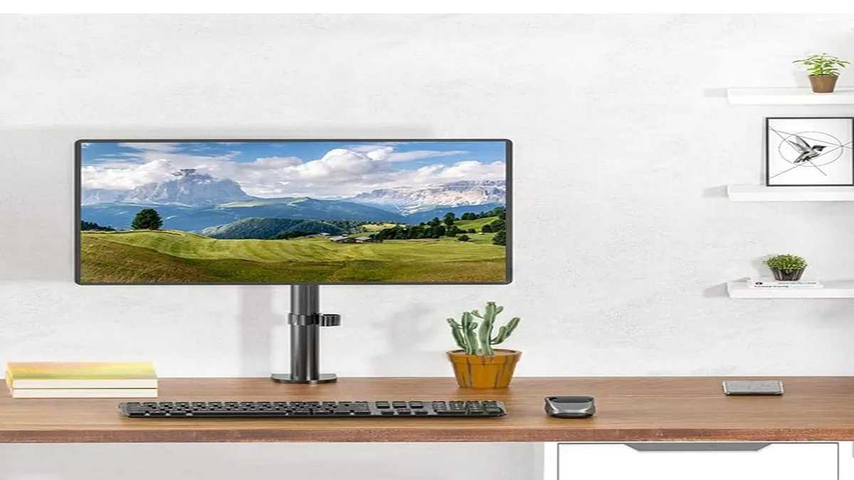 Stay Organized with OneNote