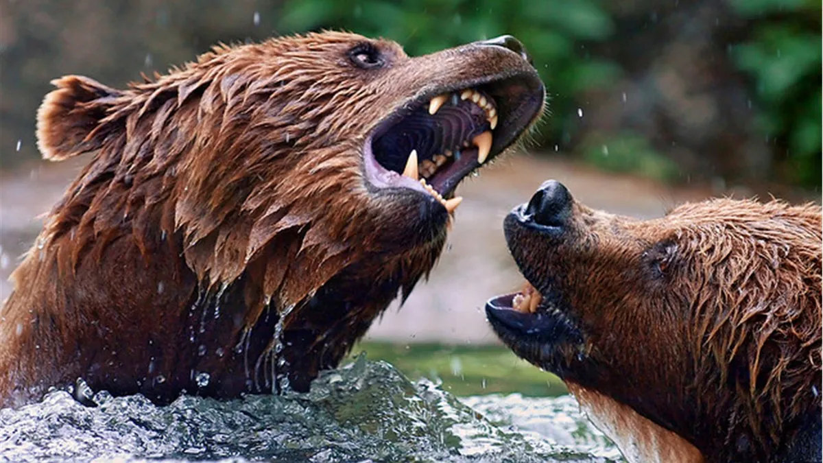 Managing disrespectful patrons  and de-escalating angry customers