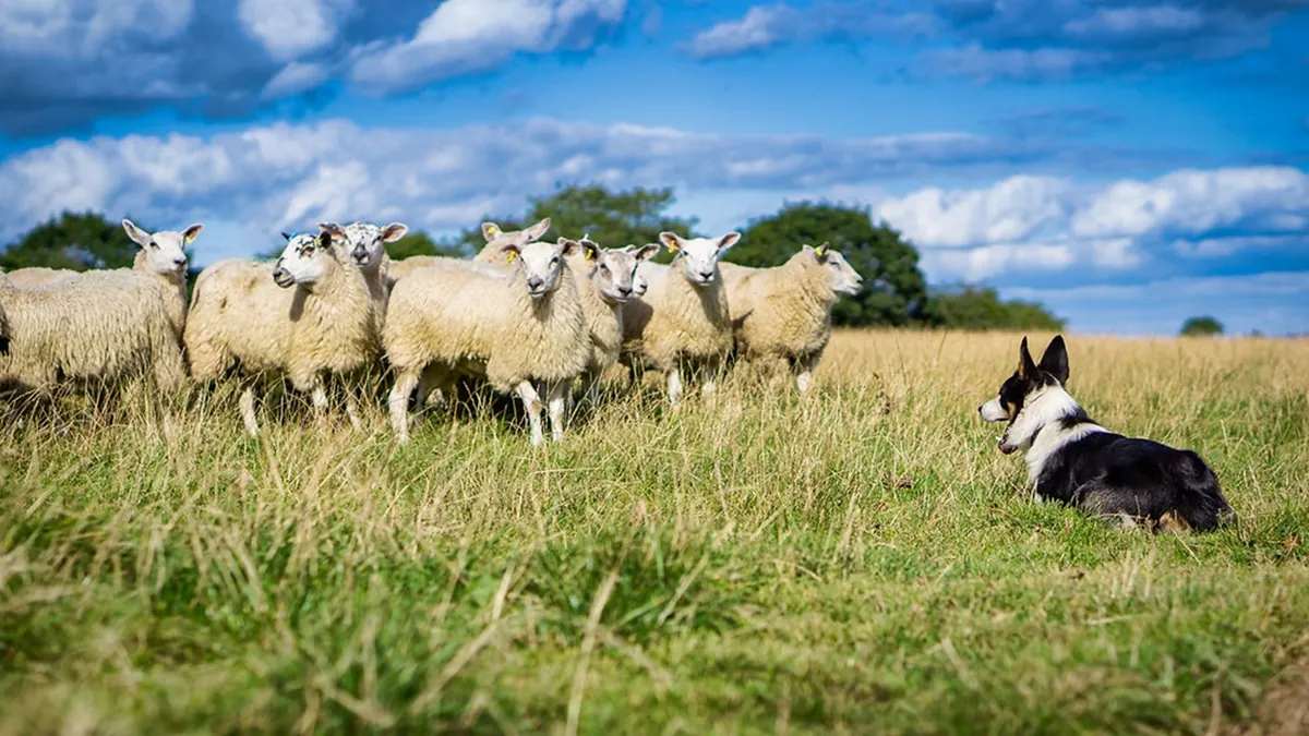 FOR SUPERVISORS - Supporting employees who deal with disrespectful patrons and angry customers