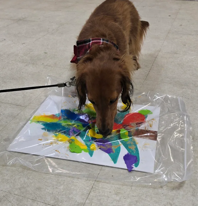 Dog craft night! Paws & Claus: Pet Paint & Ornament Night- Happy Howli-dogs!