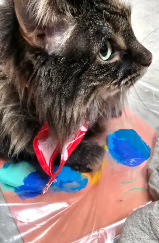 Cat Crafty-ness- Paws & Claus: Pet Paint & Ornament Night- The Purr-fect Holiday Catsake!